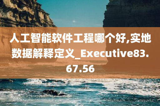 人工智能软件工程哪个好,实地数据解释定义_Executive83.67.56