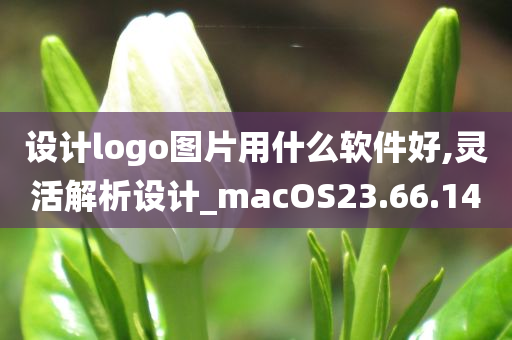 设计logo图片用什么软件好,灵活解析设计_macOS23.66.14