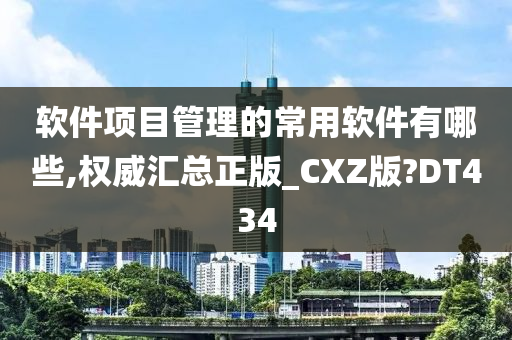 软件项目管理的常用软件有哪些,权威汇总正版_CXZ版?DT434