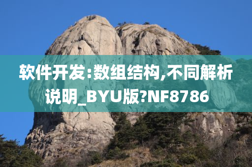 软件开发:数组结构,不同解析说明_BYU版?NF8786