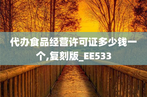 代办食品经营许可证多少钱一个,复刻版_EE533