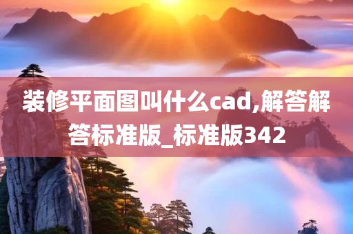 装修平面图叫什么cad,解答解答标准版_标准版342