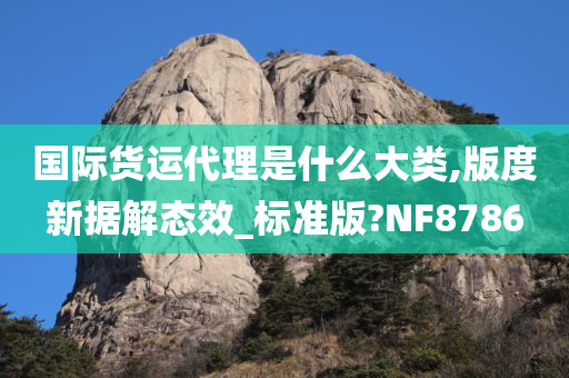 国际货运代理是什么大类,版度新据解态效_标准版?NF8786