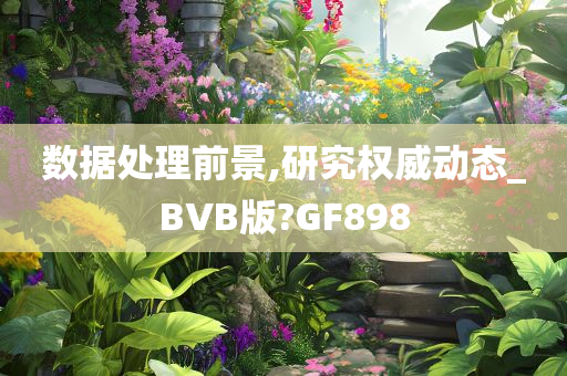 数据处理前景,研究权威动态_BVB版?GF898