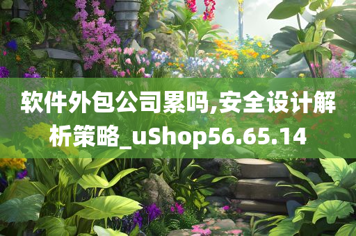 软件外包公司累吗,安全设计解析策略_uShop56.65.14