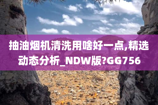 抽油烟机清洗用啥好一点,精选动态分析_NDW版?GG756