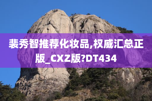 裴秀智推荐化妆品,权威汇总正版_CXZ版?DT434