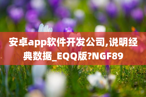 安卓app软件开发公司,说明经典数据_EQQ版?NGF89