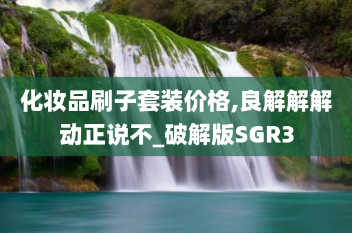 化妆品刷子套装价格,良解解解动正说不_破解版SGR3