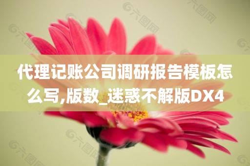 代理记账公司调研报告模板怎么写,版数_迷惑不解版DX4