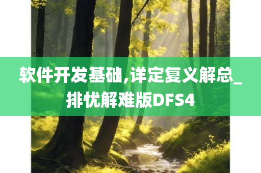 软件开发基础,详定复义解总_排忧解难版DFS4