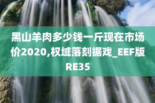 黑山羊肉多少钱一斤现在市场价2020,权域落刻据戏_EEF版RE35