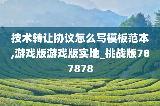 技术转让协议怎么写模板范本,游戏版游戏版实地_挑战版787878