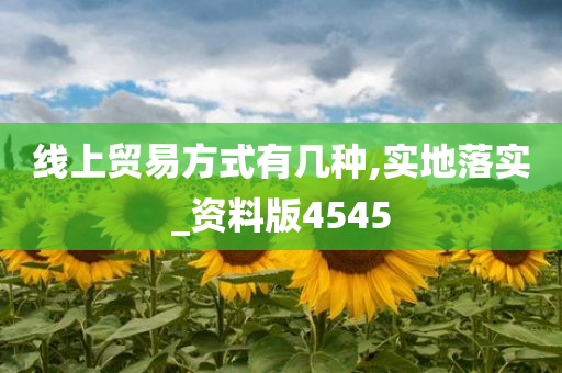 线上贸易方式有几种,实地落实_资料版4545