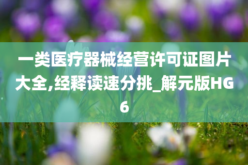 一类医疗器械经营许可证图片大全,经释读速分挑_解元版HG6