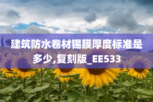 建筑防水卷材锡膜厚度标准是多少,复刻版_EE533