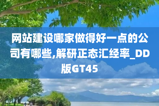 网站建设哪家做得好一点的公司有哪些,解研正态汇经率_DD版GT45