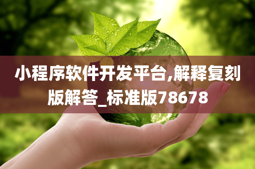 小程序软件开发平台,解释复刻版解答_标准版78678