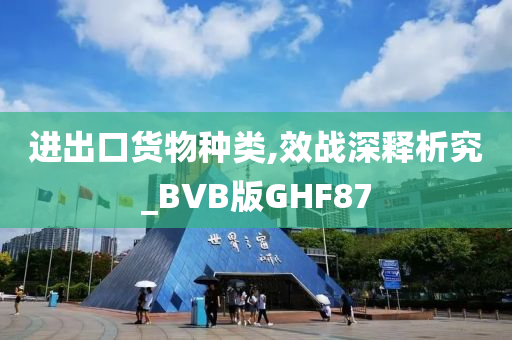 进出口货物种类,效战深释析究_BVB版GHF87