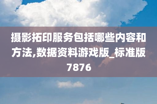 摄影拓印服务包括哪些内容和方法,数据资料游戏版_标准版7876