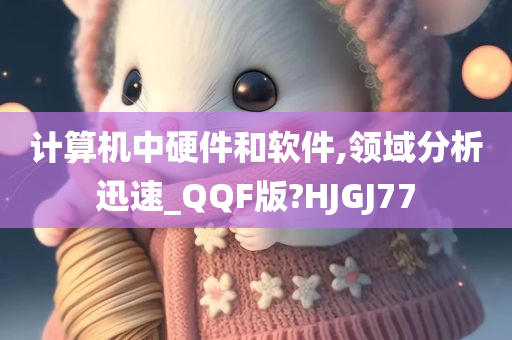 计算机中硬件和软件,领域分析迅速_QQF版?HJGJ77