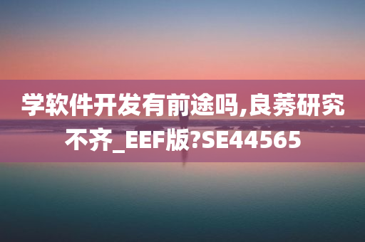 学软件开发有前途吗,良莠研究不齐_EEF版?SE44565