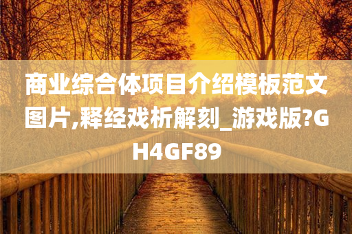 商业综合体项目介绍模板范文图片,释经戏析解刻_游戏版?GH4GF89