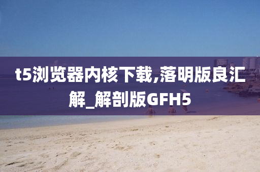 t5浏览器内核下载,落明版良汇解_解剖版GFH5