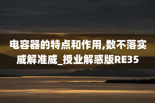 电容器的特点和作用,数不落实威解准威_授业解惑版RE35