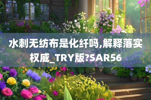 水刺无纺布是化纤吗,解释落实权威_TRY版?SAR56