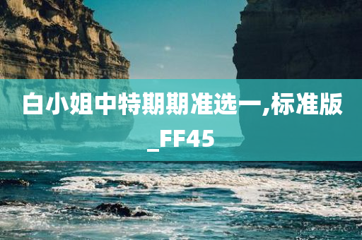 白小姐中特期期准选一,标准版_FF45