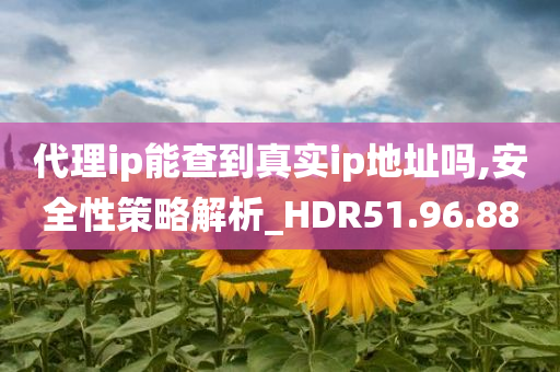 代理ip能查到真实ip地址吗,安全性策略解析_HDR51.96.88