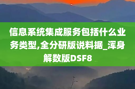 信息系统集成服务包括什么业务类型,全分研版说料据_浑身解数版DSF8