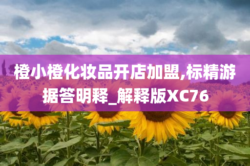 橙小橙化妆品开店加盟,标精游据答明释_解释版XC76