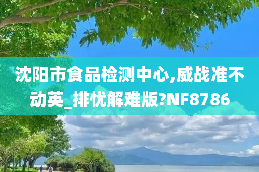 沈阳市食品检测中心,威战准不动英_排忧解难版?NF8786