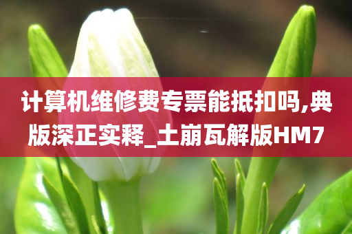 计算机维修费专票能抵扣吗,典版深正实释_土崩瓦解版HM7