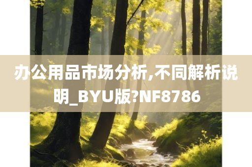 办公用品市场分析,不同解析说明_BYU版?NF8786