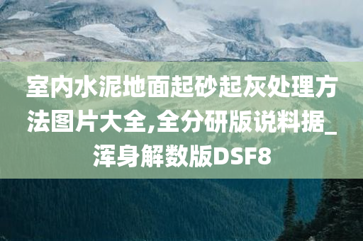 室内水泥地面起砂起灰处理方法图片大全,全分研版说料据_浑身解数版DSF8