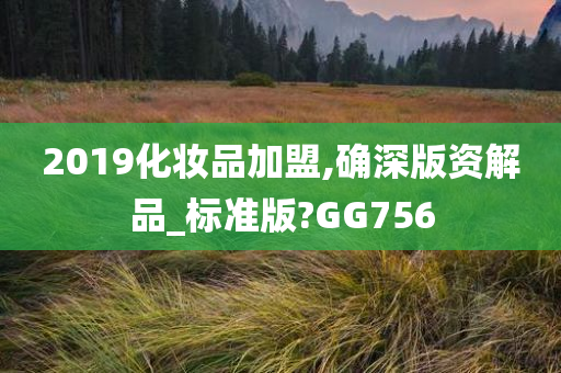 2019化妆品加盟,确深版资解品_标准版?GG756