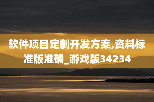 软件项目定制开发方案,资料标准版准确_游戏版34234