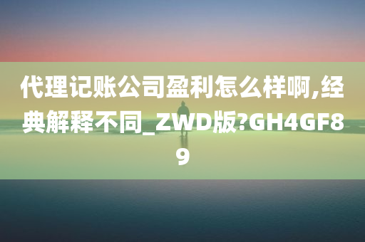 代理记账公司盈利怎么样啊,经典解释不同_ZWD版?GH4GF89