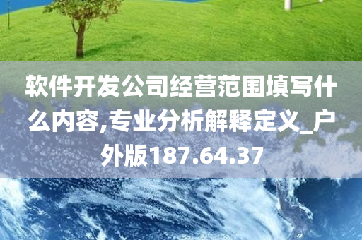 软件开发公司经营范围填写什么内容,专业分析解释定义_户外版187.64.37