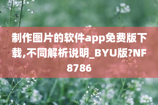 制作图片的软件app免费版下载,不同解析说明_BYU版?NF8786