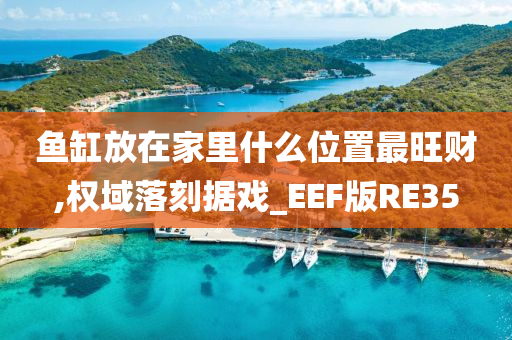 鱼缸放在家里什么位置最旺财,权域落刻据戏_EEF版RE35