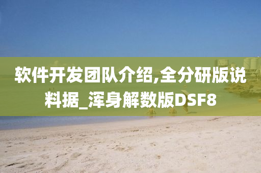 软件开发团队介绍,全分研版说料据_浑身解数版DSF8