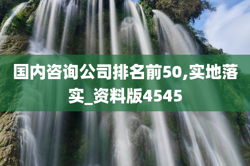 国内咨询公司排名前50,实地落实_资料版4545