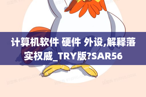 计算机软件 硬件 外设,解释落实权威_TRY版?SAR56