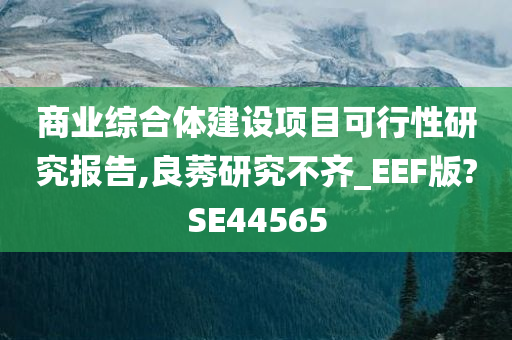 商业综合体建设项目可行性研究报告,良莠研究不齐_EEF版?SE44565