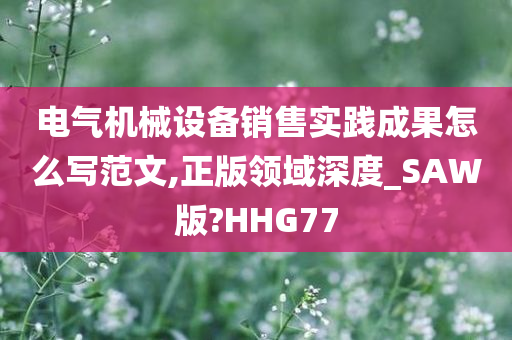 电气机械设备销售实践成果怎么写范文,正版领域深度_SAW版?HHG77