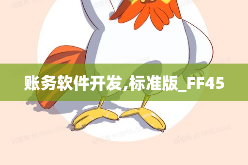 账务软件开发,标准版_FF45